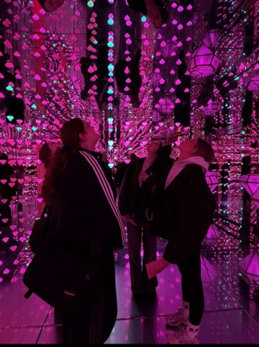 WhatsApp-Image-2025-09-09-at-13.31.26