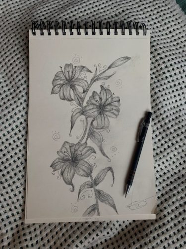 WhatsApp-Image-2026-03-07-at-15.22.28